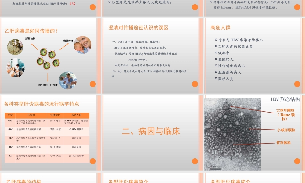 慢乙肝的诊治.ppt