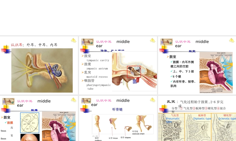 慢性中耳病变诊治策略.ppt