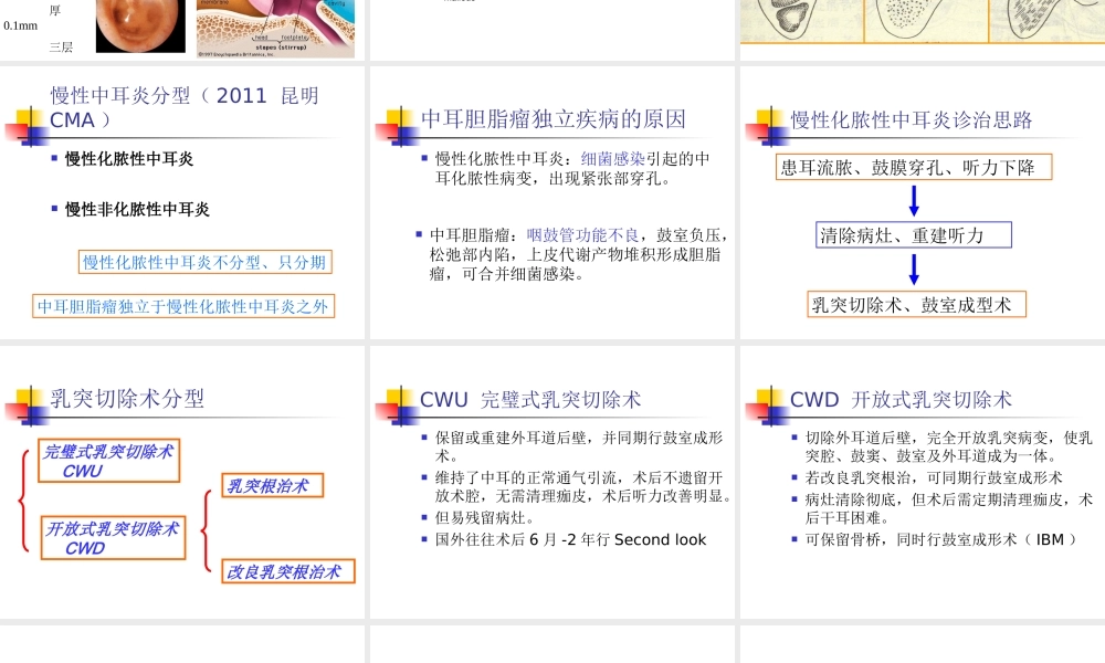 慢性中耳病变诊治策略.ppt