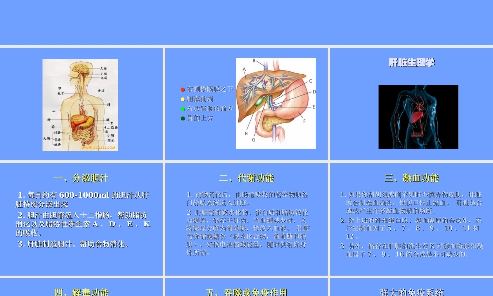 慢性乙型肝炎防治知识Ⅰ.ppt