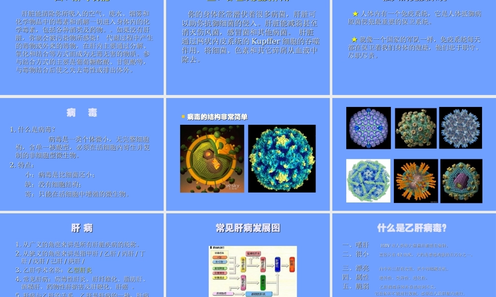 慢性乙型肝炎防治知识Ⅰ.ppt