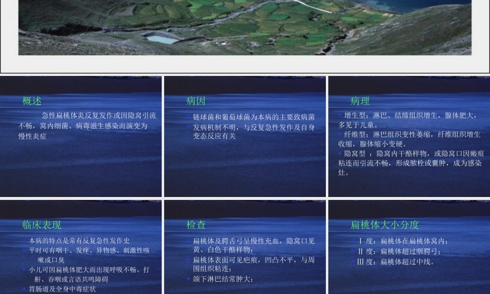 慢性扁桃体炎.ppt