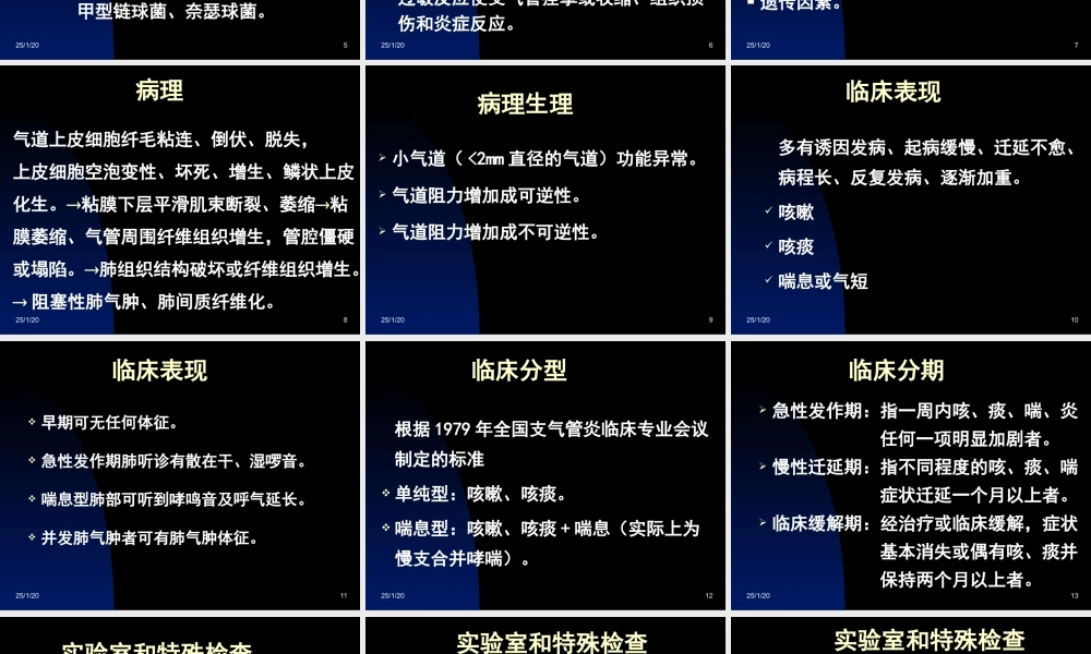 慢性支气管炎(慢支).ppt