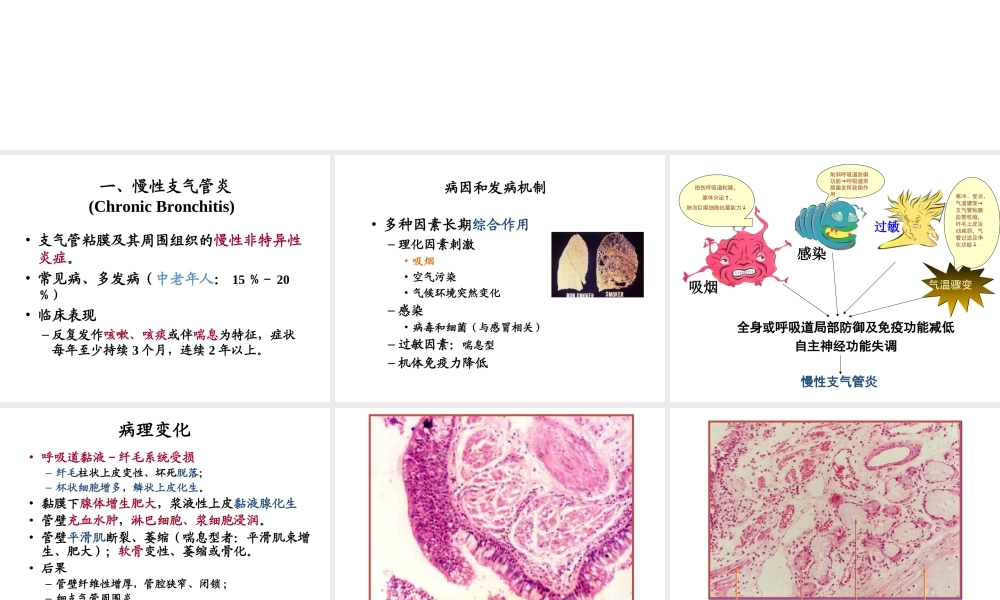 慢性支气管炎、肺气肿、肺硅沉着病.ppt