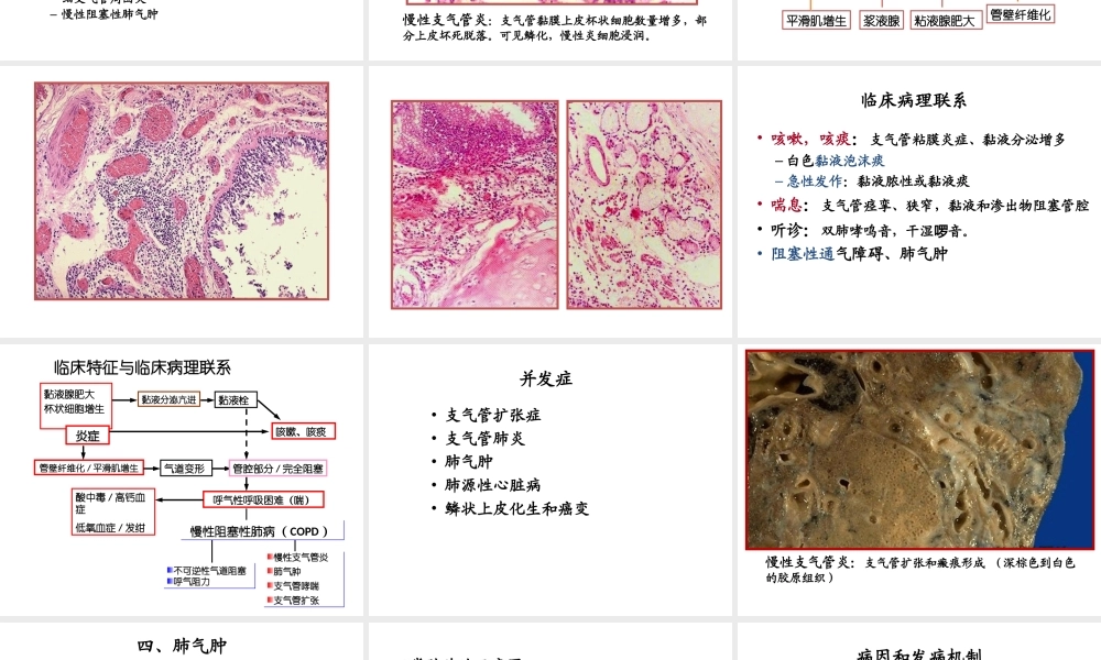 慢性支气管炎、肺气肿、肺硅沉着病.ppt