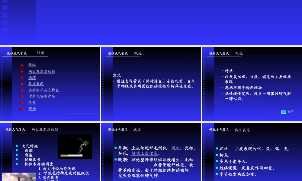 慢性支气管炎2.ppt