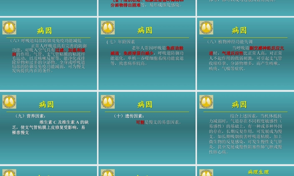 慢性支气管炎资料.ppt