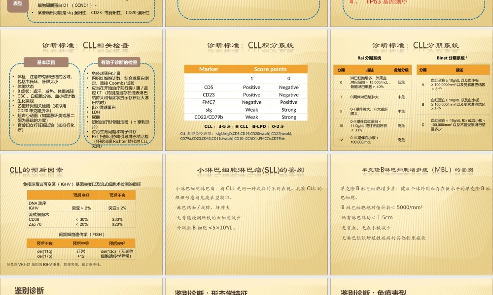 慢性淋巴细胞白血病CLL指引解读.ppt