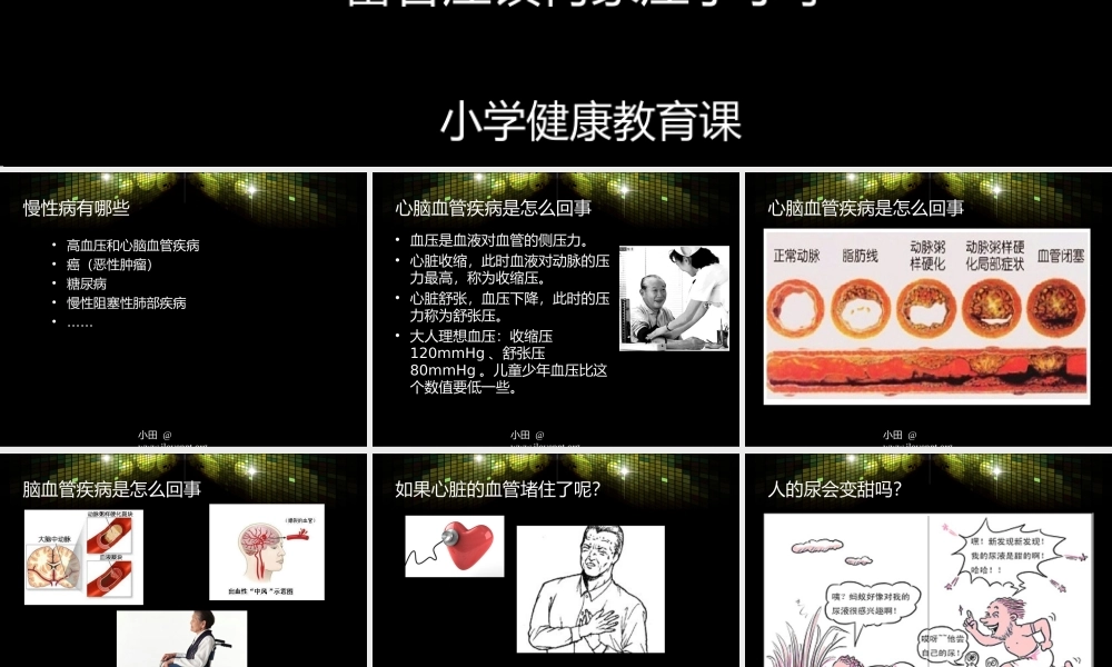慢性病防控知识.ppt