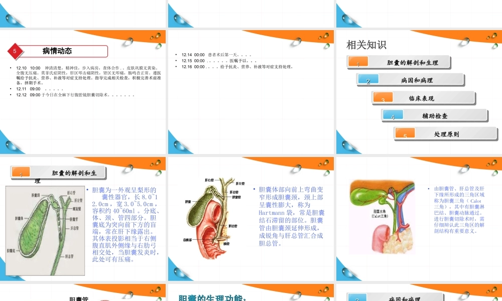 慢性结石性胆囊炎描述.ppt