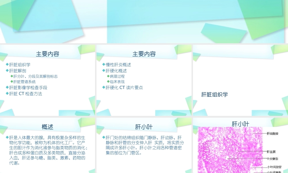 慢性肝炎、肝硬化概述-上.ppt