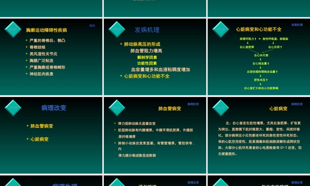 慢性肺源性心脏病-(Chronic-Cor-Pulmonale)讲解.ppt