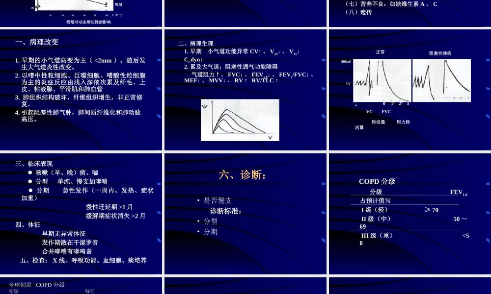 慢性阻塞性肺病(正式稿).ppt