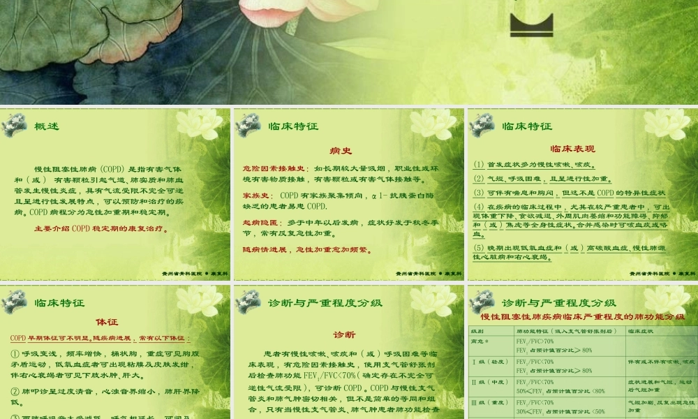 慢性阻塞性肺病的康复模板.ppt