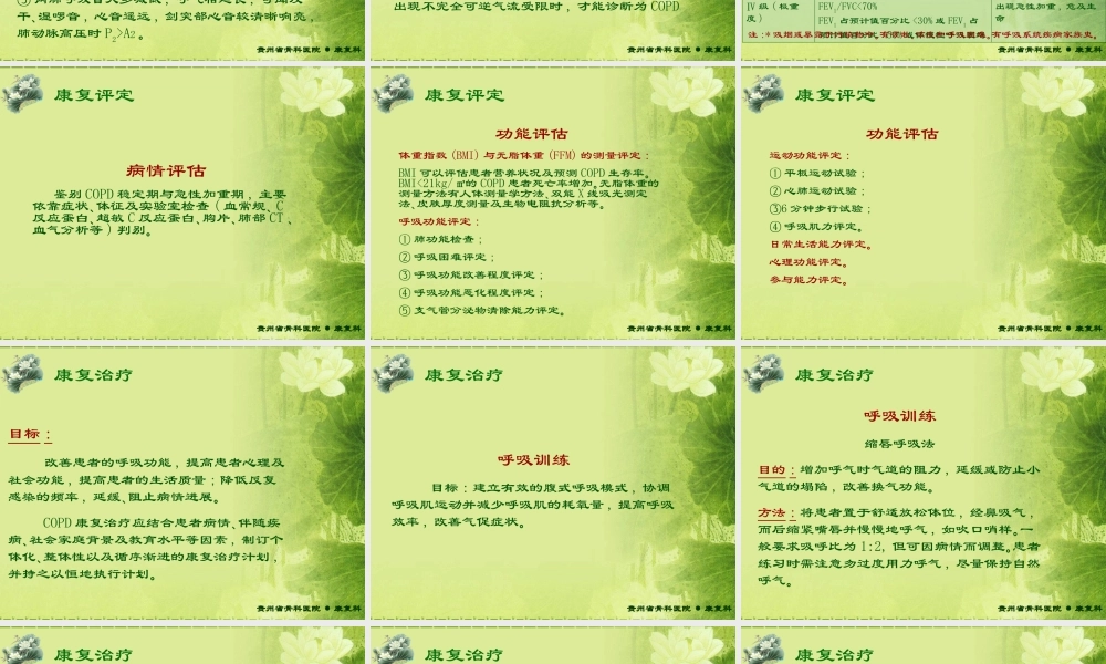 慢性阻塞性肺病的康复模板.ppt