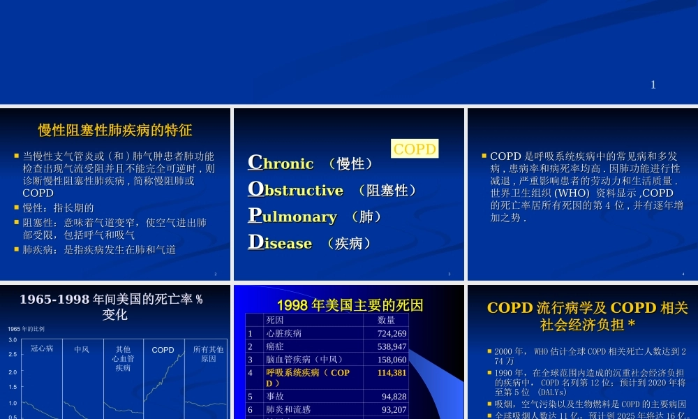 慢性阻塞性肺病急性加重期防治.ppt