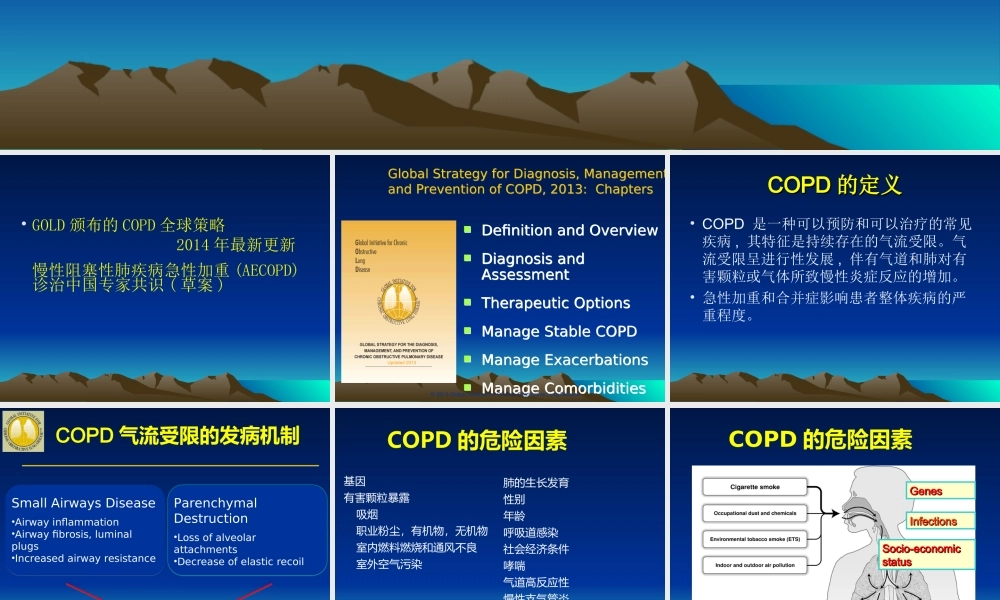 慢性阻塞性肺病的新进展2014--cai.ppt