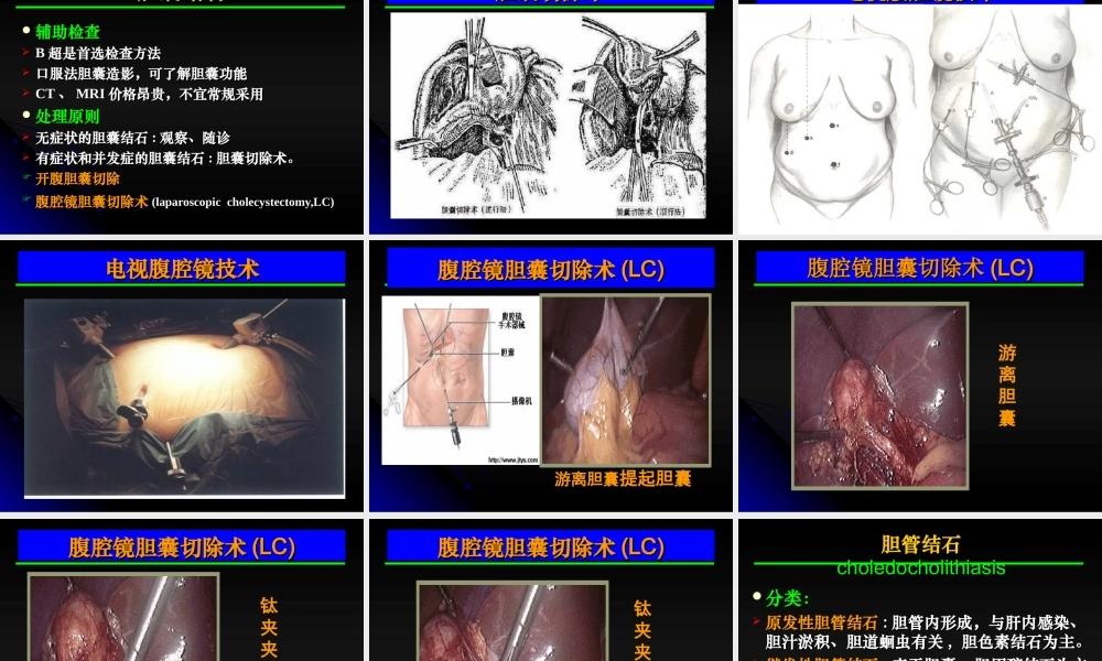 成都大学医护学院外科教研室王利平.ppt