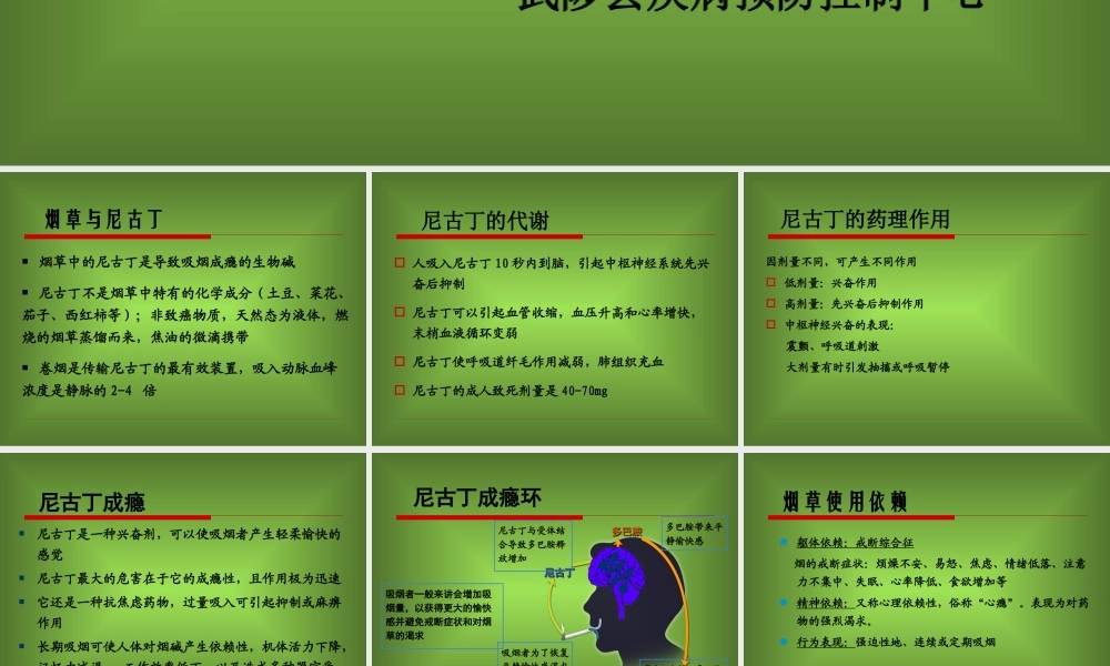 戒烟方法与戒烟门诊的设立1.ppt
