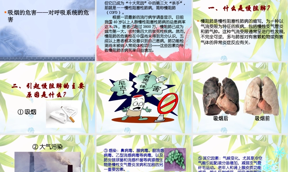 戒烟远离慢阻肺.ppt
