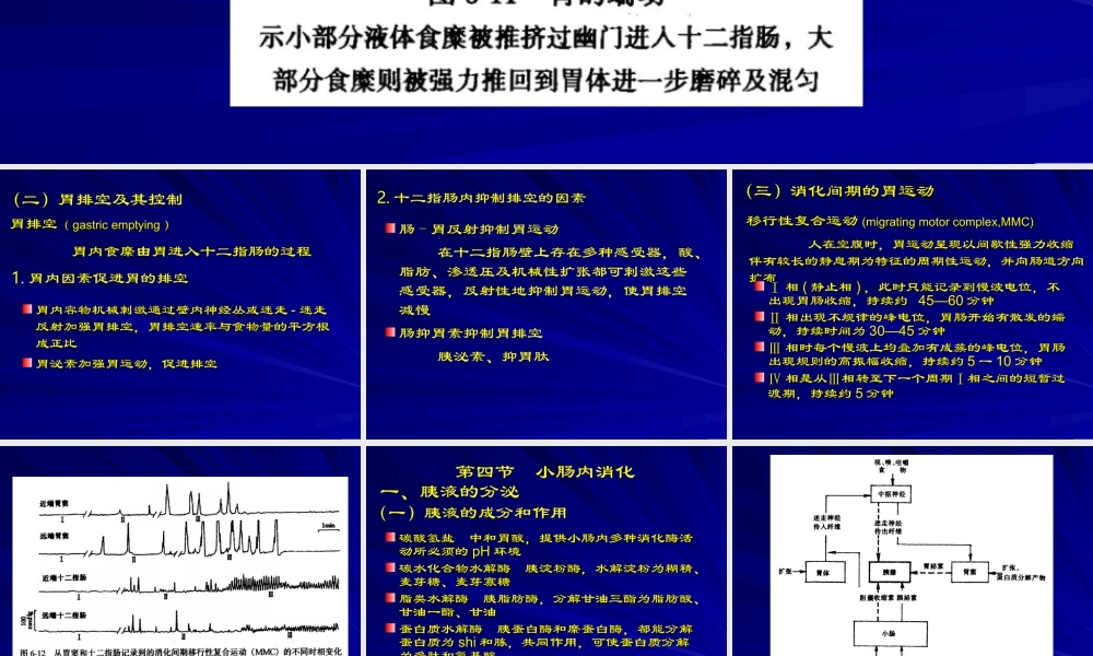 或迷走迷走反射加强胃要点.ppt