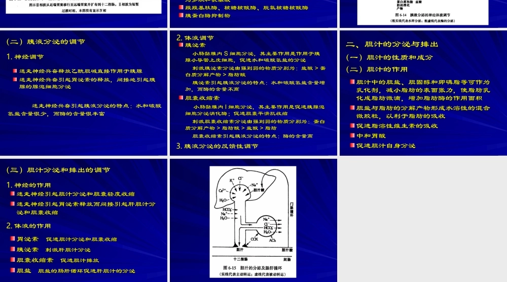或迷走迷走反射加强胃要点.ppt