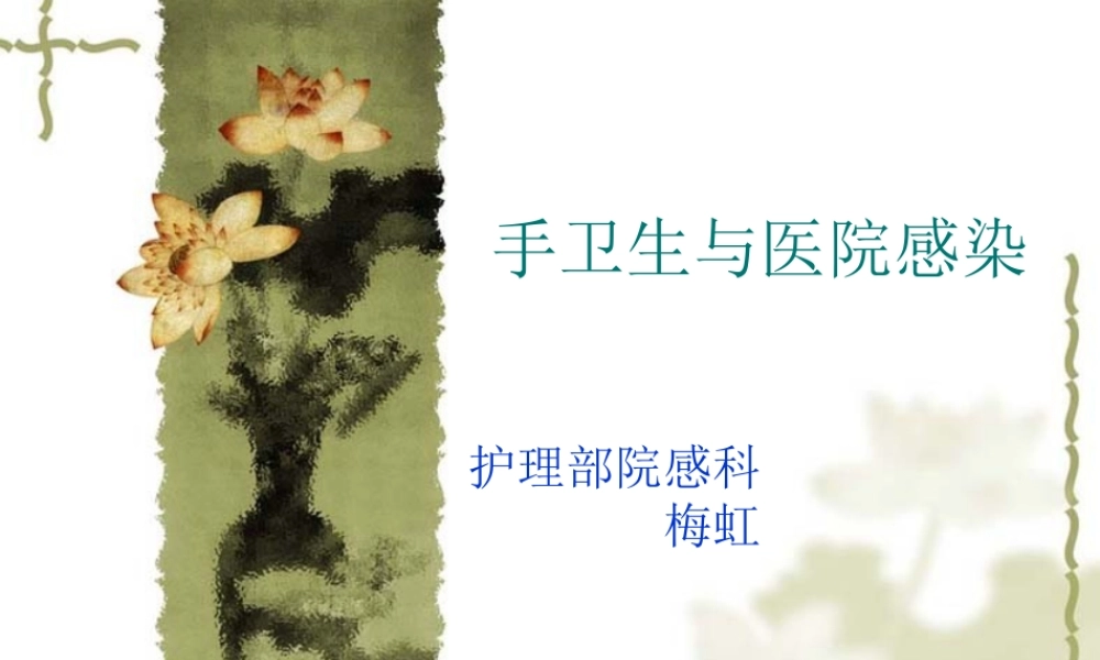 手卫生与医院感染(1).ppt