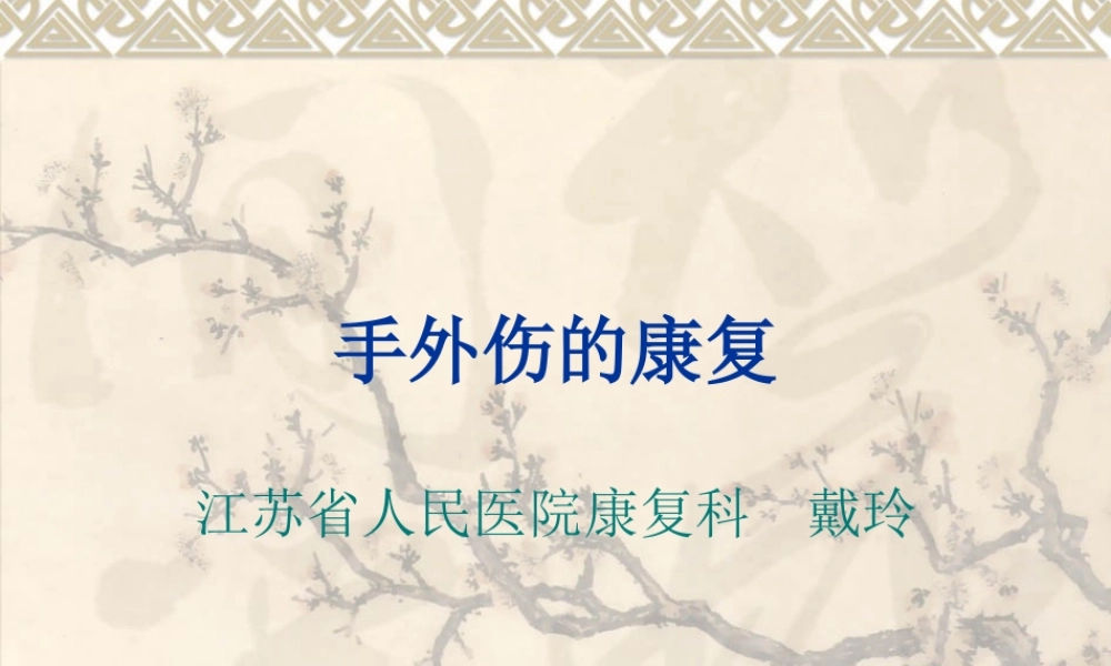 手外伤的康复(南医大).ppt