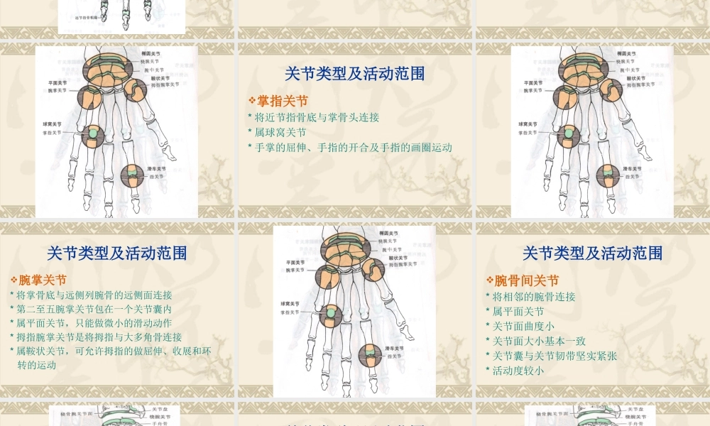 手外伤的康复(南医大).ppt