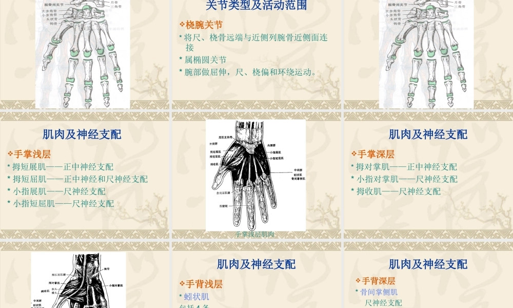 手外伤的康复(南医大).ppt