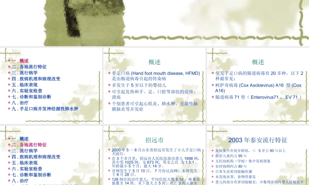 手足口病基本介绍PPT.ppt