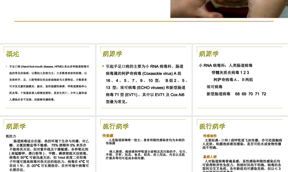 手足口病知识分析.ppt