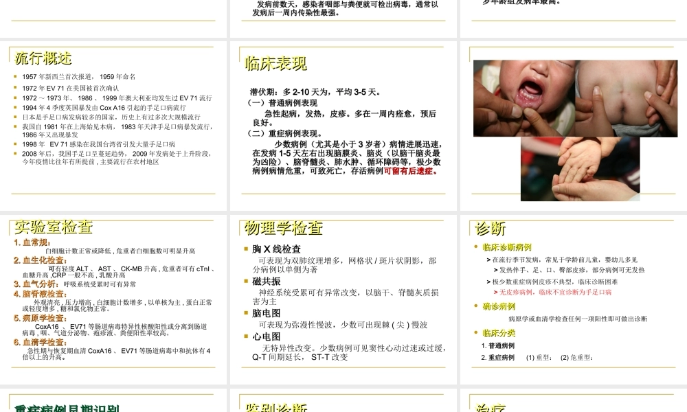 手足口病知识分析.ppt