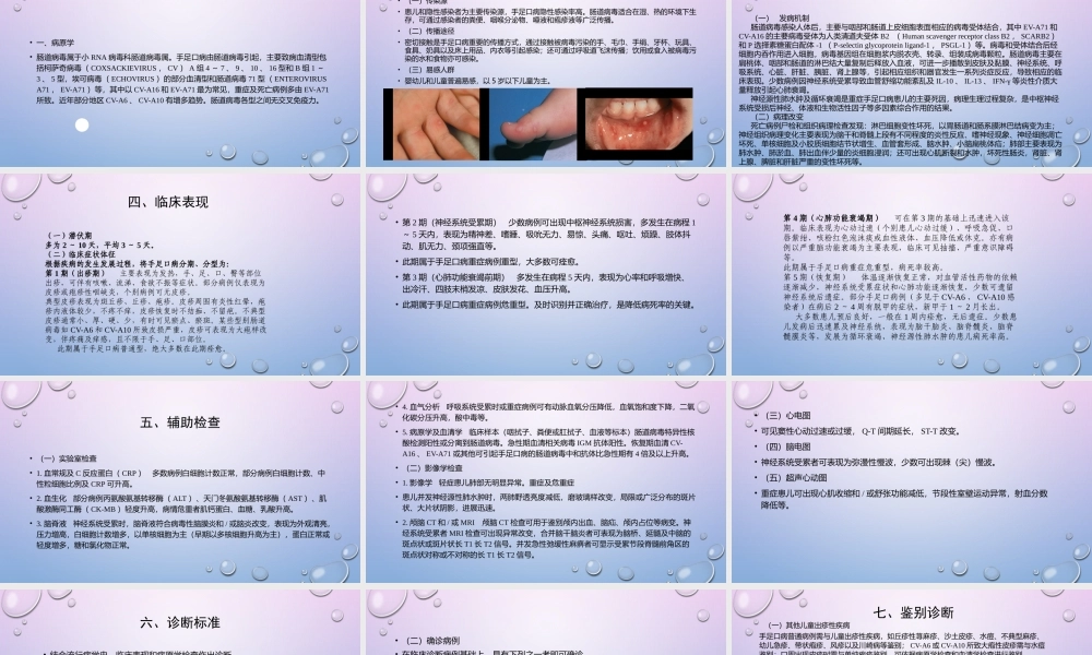 手足口病诊疗指南(2018年版).pptx