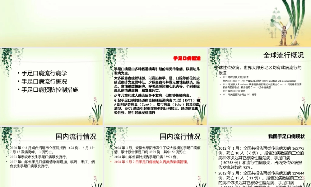 手足口病防治--疾控(2012-6).ppt