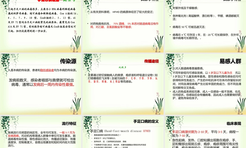 手足口病防治--疾控(2012-6).ppt