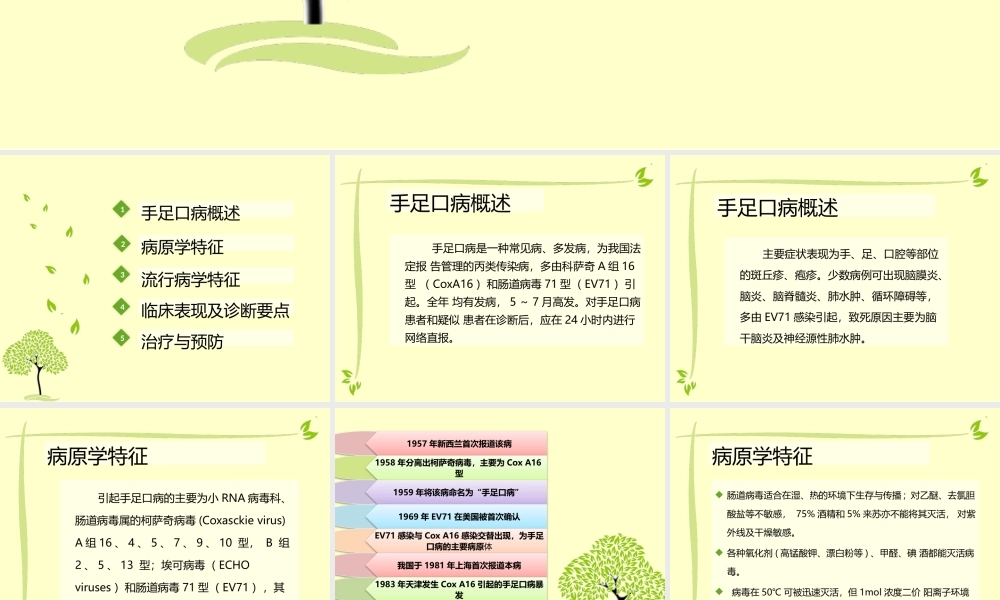 手足口病防治.pptx