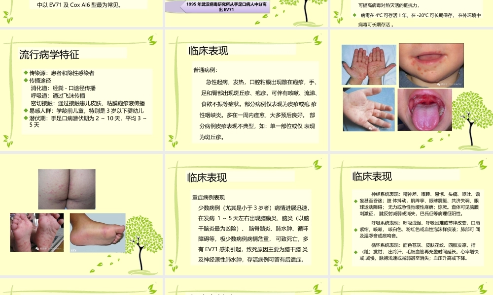 手足口病防治.pptx