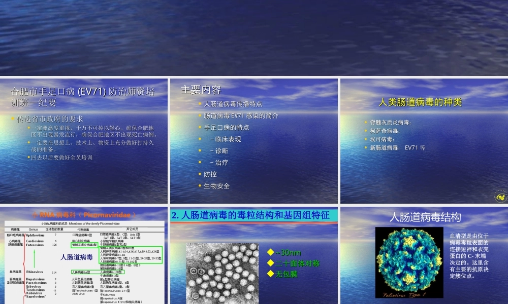 手足口病防治主要介绍PPT.ppt