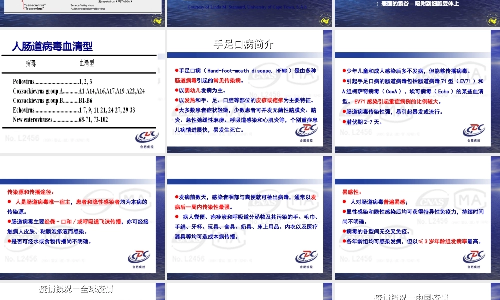 手足口病防治主要介绍PPT.ppt