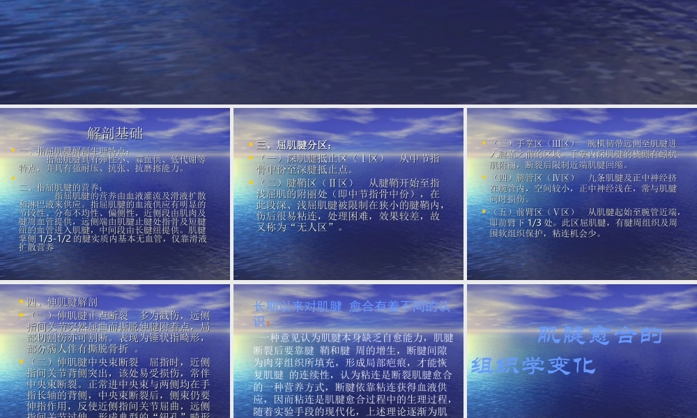 手部肌腱的损伤与修复.ppt