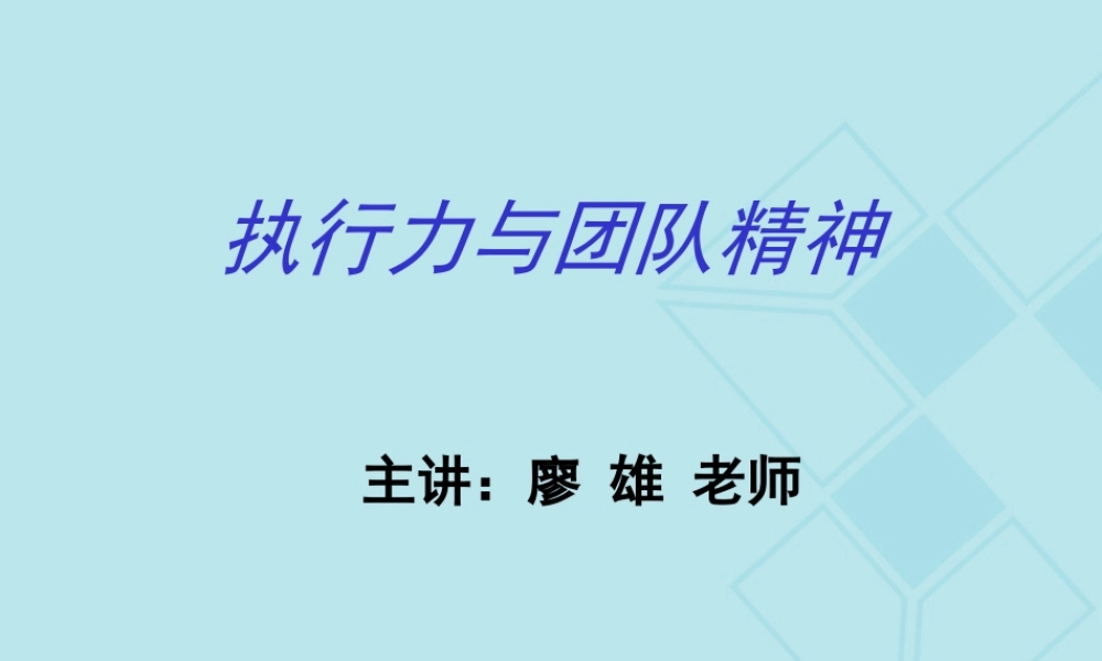 执行力与团队精神s资料.ppt