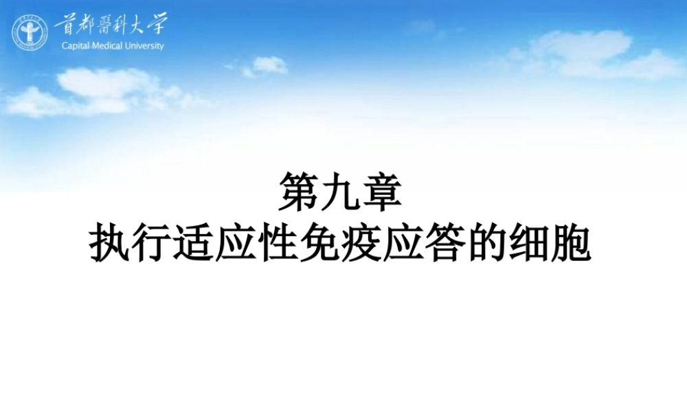 执行适应性免疫应答的细胞.ppt