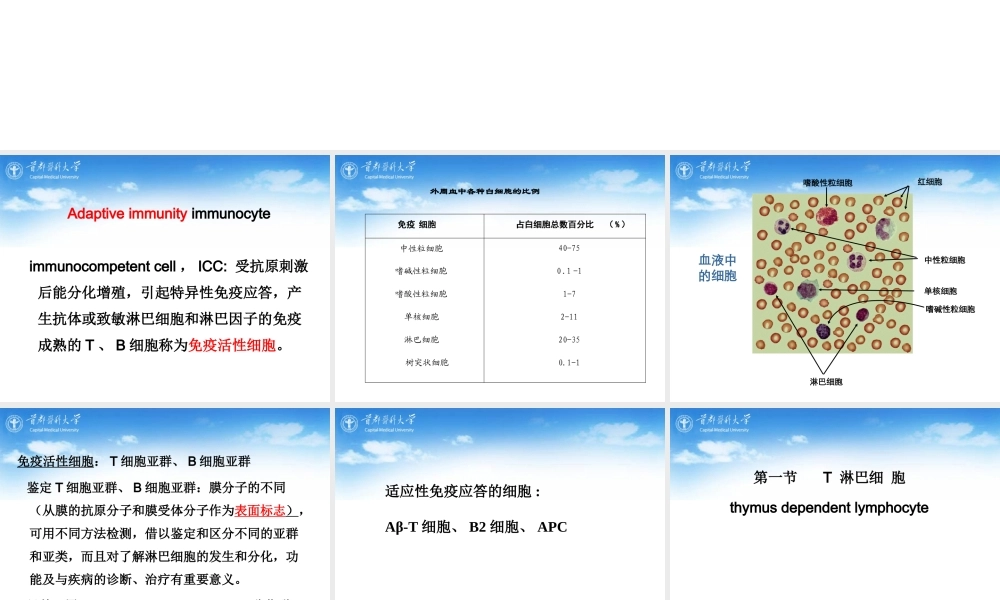 执行适应性免疫应答的细胞.ppt