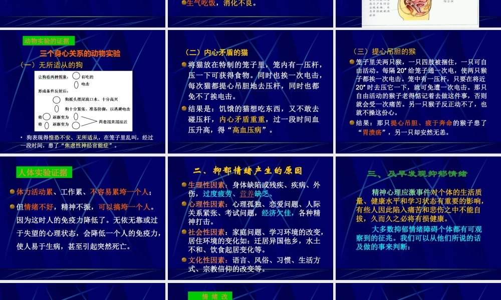 抑郁情绪调节.ppt