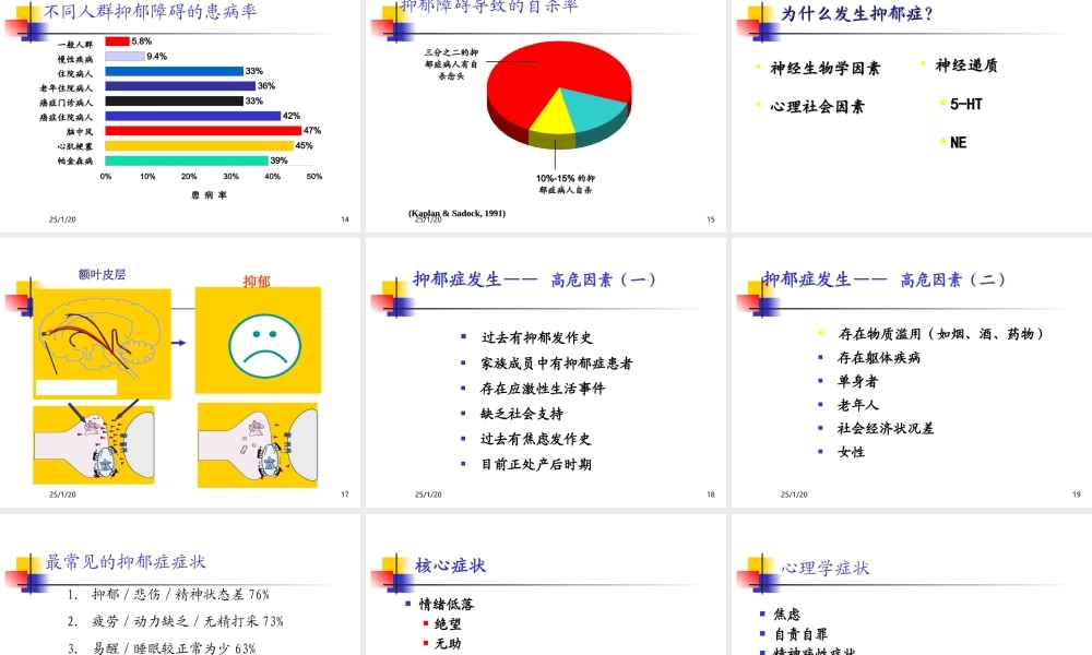 抑郁症-我们面临的挑战.ppt
