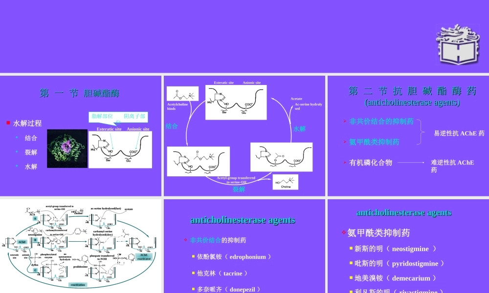 抗-胆-碱-酯-酶-药.ppt