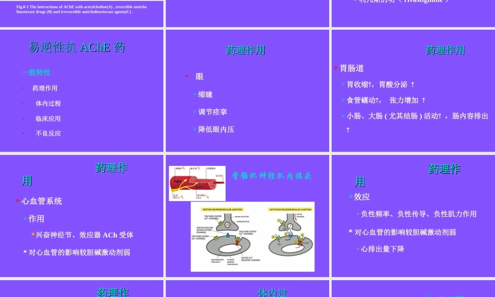 抗-胆-碱-酯-酶-药.ppt