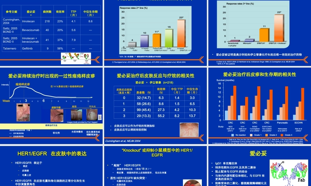 抗EGFR单克隆抗体在难治性结直肠癌中的作用.ppt