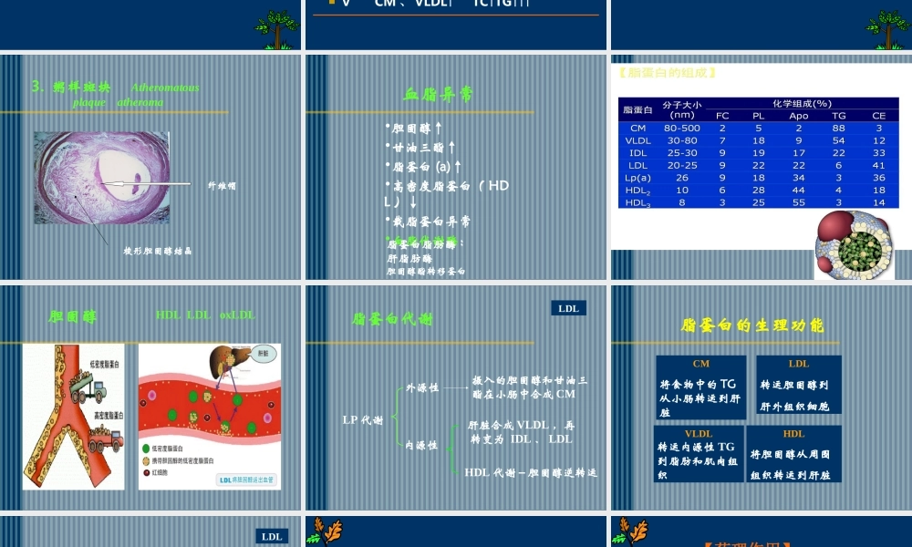 抗动脉粥样硬化药摘要.ppt